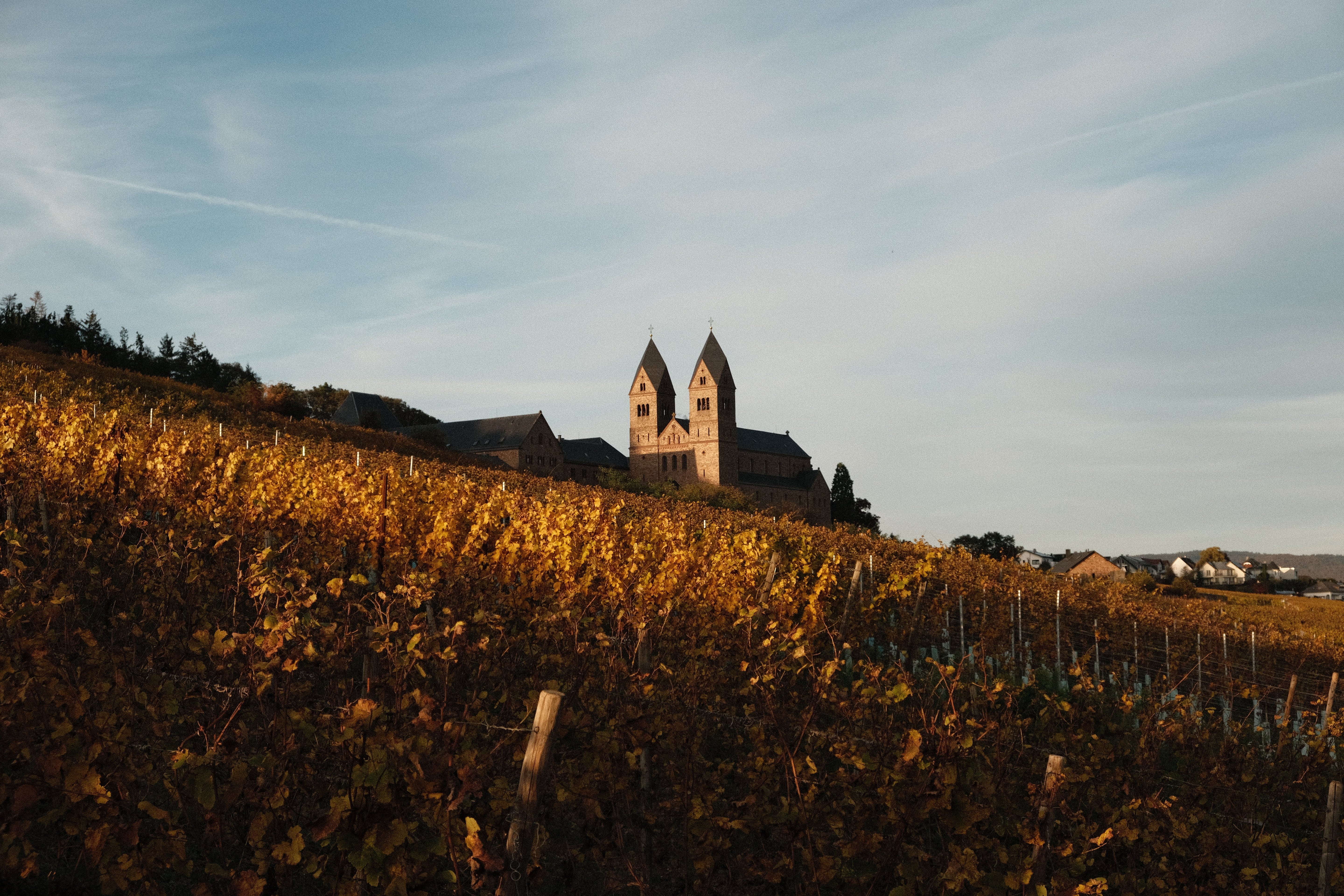 Was bedeutet „mineralisch“ im Wein?