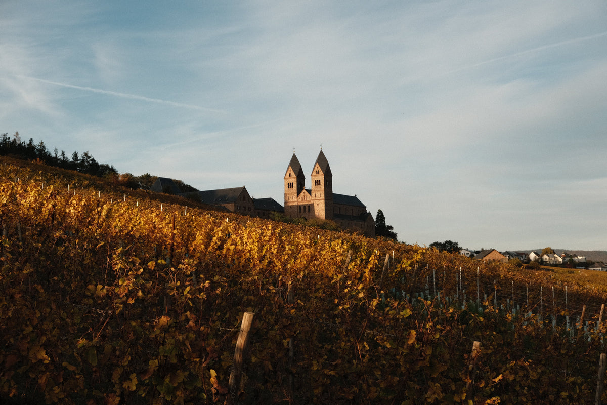 VDP-Klassifikation und Großes Gewächs einfach erklärt