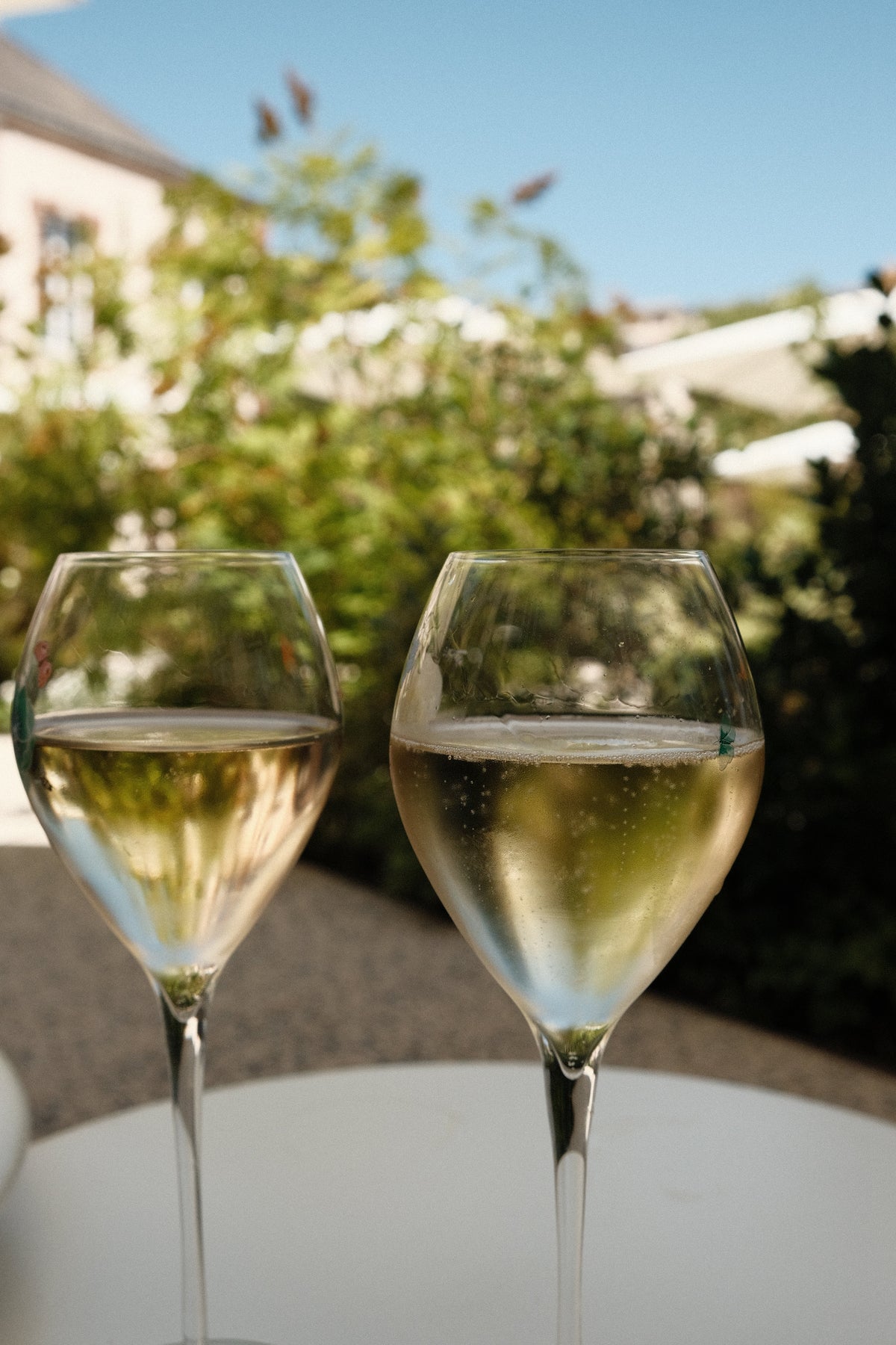 Winzersekt vs. Champagner: Unterschiede, Herstellung und Empfehlungen