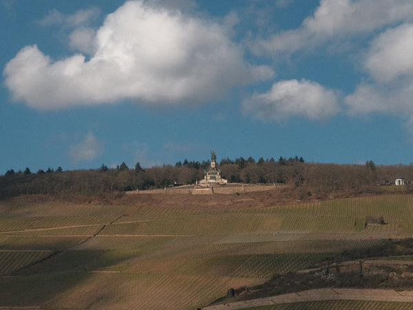 Der Rehingau - das traditionsreiche Riesling Mekka