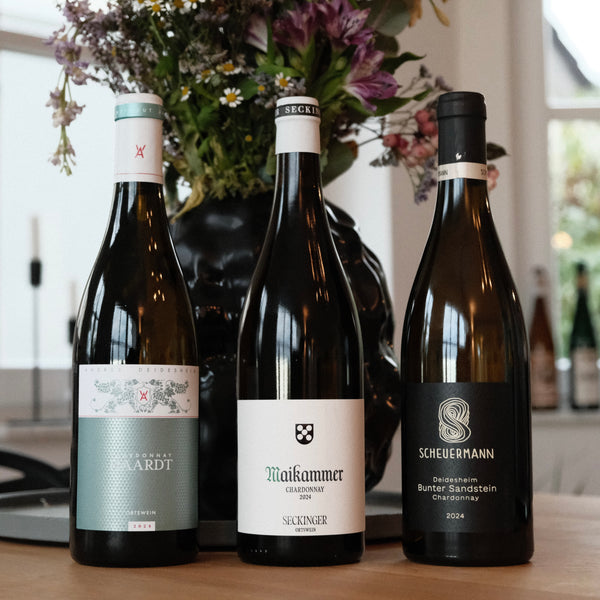 Chardonnay Pfalz Paket - NEW WAVE
