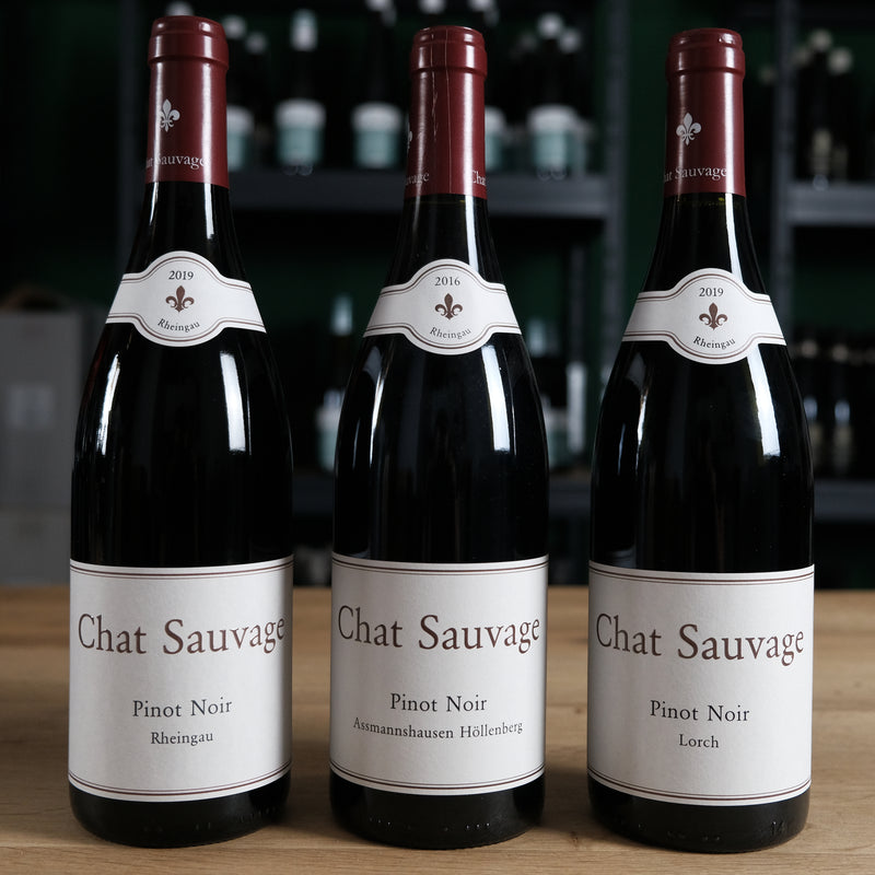 Chat Sauvage - Pinot Noir Rotwein Paket