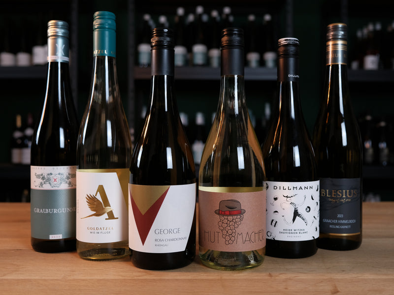 Best of Basics Weinpaket – 6 Alltagsweine mit hohem Trinkspaß